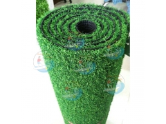 Multicolored Paddle boat, Ground Sheet Fake Grass Capacity 80kg