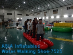 Inflatable Water Park Business Plan, Huge Inflatable Water Walking Shoes & and 3D Park Builder