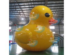 Inflatable Duck