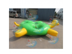 Custom Inflatable Turtle Boat